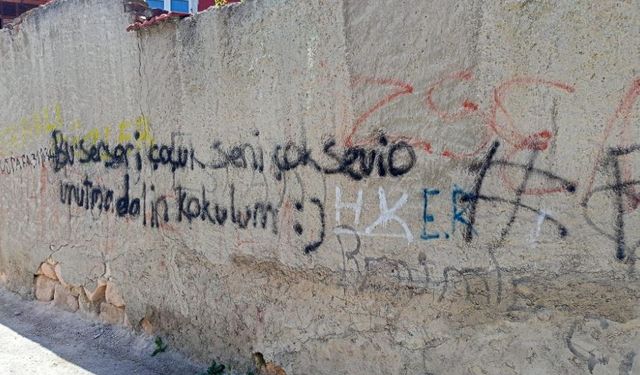 Vandallar yine iş başında: Şehrin estetiğini bozuyorlar