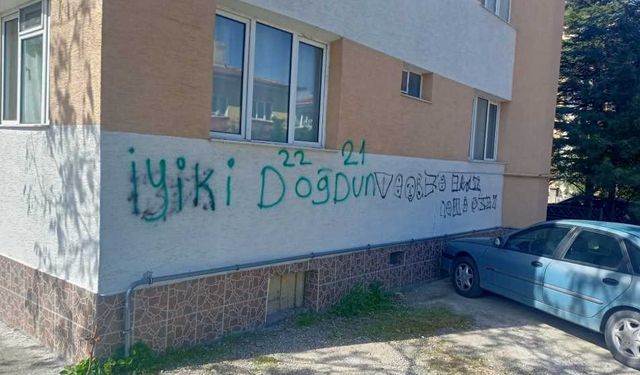 Eskişehir'de yine duvarlar vandalların yazı tahtasına döndü