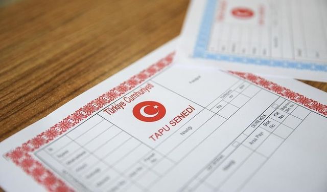 Tapuya dev zam! Yüzde 200...