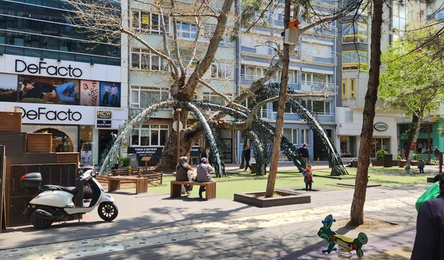 Eskişehir'de 205 yıllık doğal miras güvende!