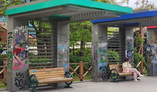 Eskişehir'de vandallar bu kez orayı hedef aldı!