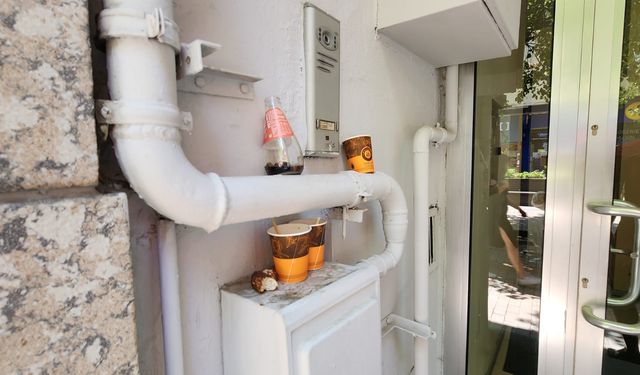 Eskişehir'de apartman önünü çöp yuvası yaptılar!