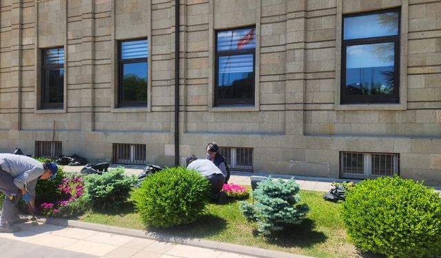 Eskişehir'in dört bir yanı rengarenk oldu!