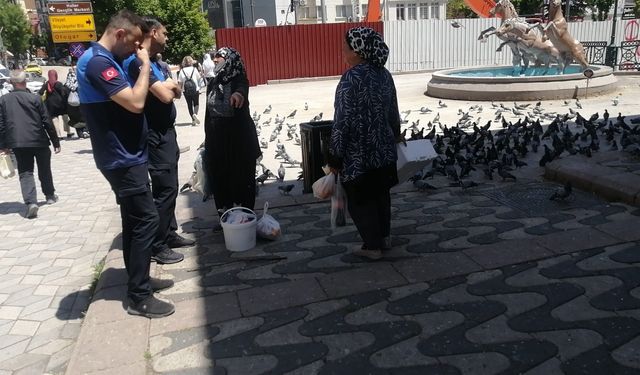 Eskişehir zabıtası güvercinlere yem satışını engelledi