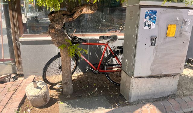 Ağaca zincirlenen bisikletler tepki çekti