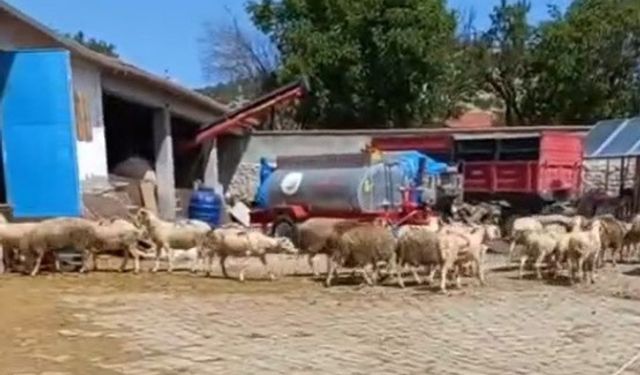 Eskişehir'de korkutan yangın böyle çıkmış: İşte o anlar...