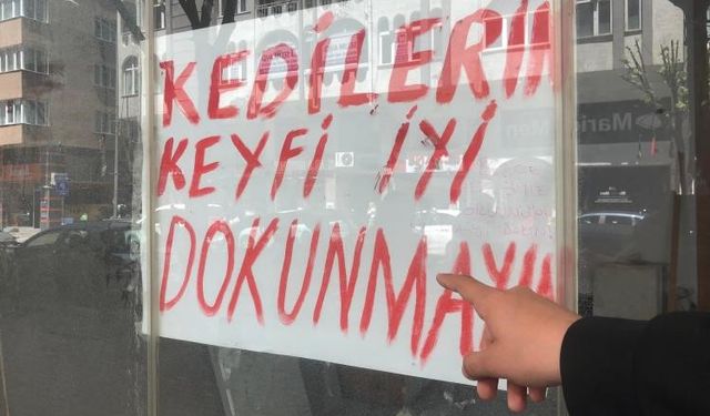 Eskişehir'de dükkana bırakılan kediler ve not tartışma yarattı!