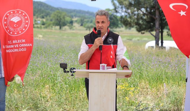 Bozüyük’te pelemir bitkisi üretimi yaygınlaşıyor