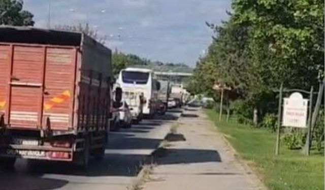 Eskişehir 'de her ay sayısı artıyor, TÜİK verileri dikkat çekti!