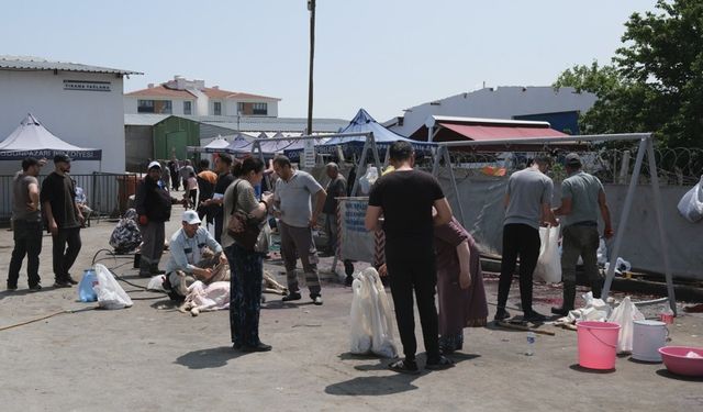 Eskişehir'de ücretsiz kesim alanı takdir topladı ama...