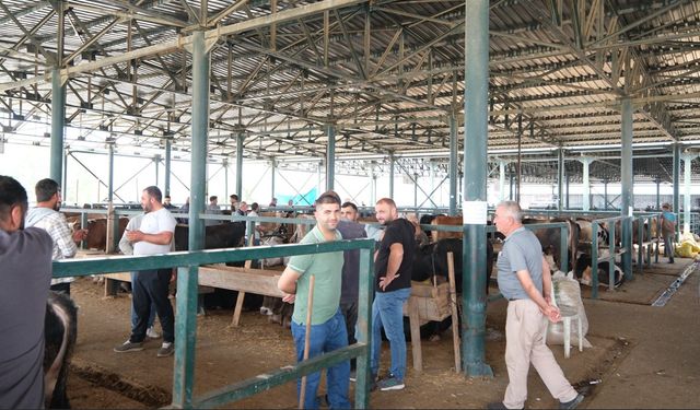 Eskişehir Hayvan Pazarı'nda umutlar arefe gününe bağlandı!