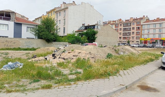 Eskişehir'de görüntü kirliliği: Aylardır bekliyor!