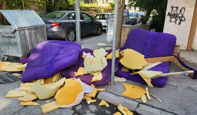 Eskişehir'de gelişi güzel bıraktılar, tepki çekti