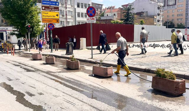 Eskişehir'de çiçeklere bakım yapılıyor