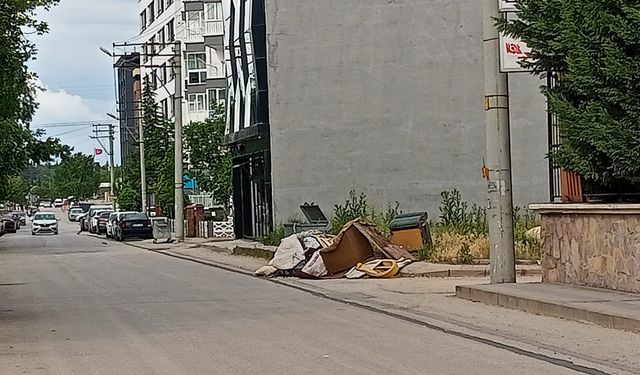 Eskişehir'de sokak ortasına bırakılan atıklar dikkat çekti