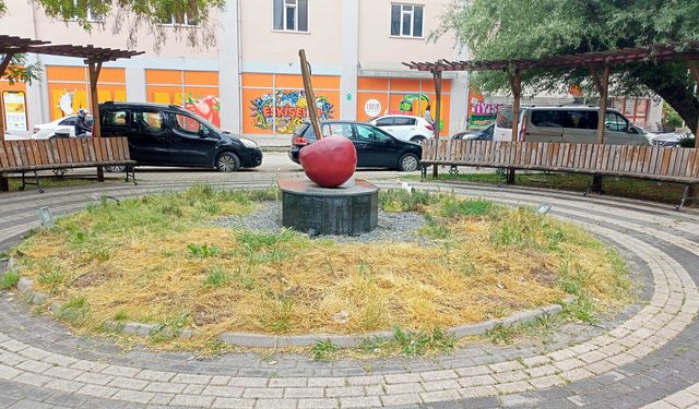 Eskişehir'in merkezindeki bakımsız park dikkat çekti