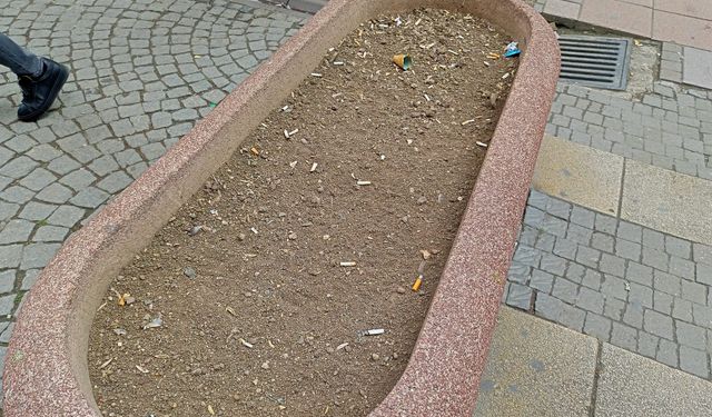 Eskişehir'deki saksılar adeta izmarite döndü