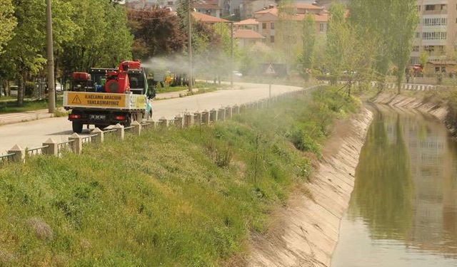 Eskişehir'de sıcaklar arttı, ekipler onlar için sokağa çıktı!