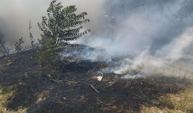 Elektrik trafosu yakınındaki yangın korkuttu!