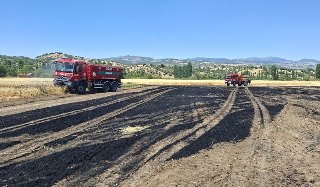 Eskişehir komşusunda yangın: 2,5 dekarlık alan kül oldu