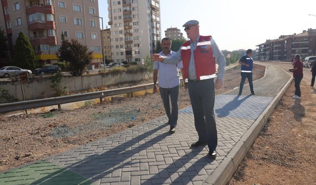 Eskişehir'de yeşil dokunuş: Tretuvar rengini halk belirledi