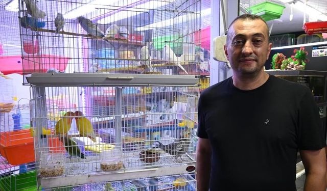 Yüksek sıcaklarda balık ve kuş bakımı için önemli tavsiyeler