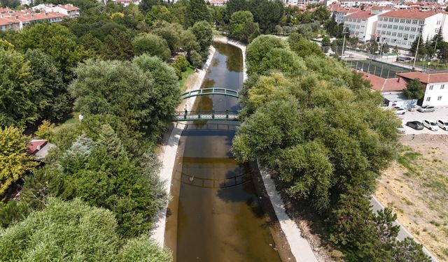 Eskişehir Porsuk Çayı'nda hayrete düşüren görüntü!