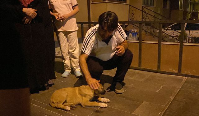 Eskişehir'de vicdansız sürücü çarpıp kaçtı, mahalleli yardım etti!