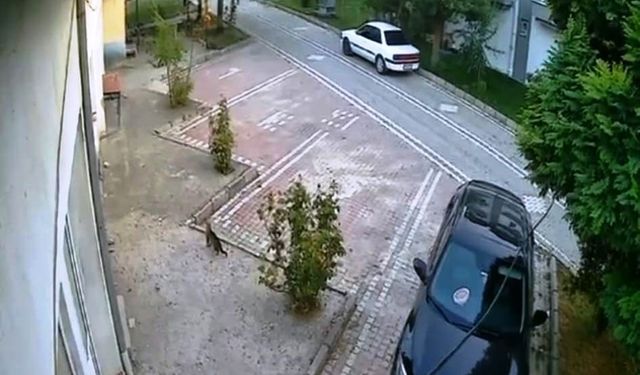 Hisarcık'taki deprem anı: Kedi panikleyip kaçtı!