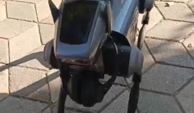 Robot köpek Eskişehirlilerin yeni merakı!