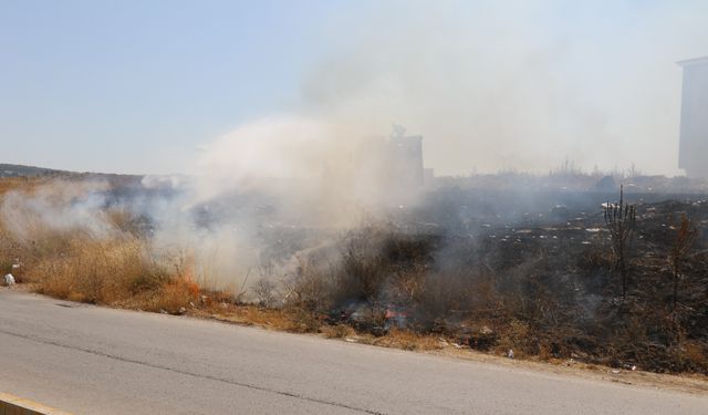 Odunpazarı’nda otluk alanda korkutan yangın!