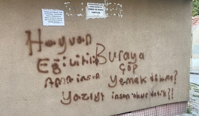Eskişehir'de vatandaşın isyanı duvar yazısına taştı, sebebiyse...