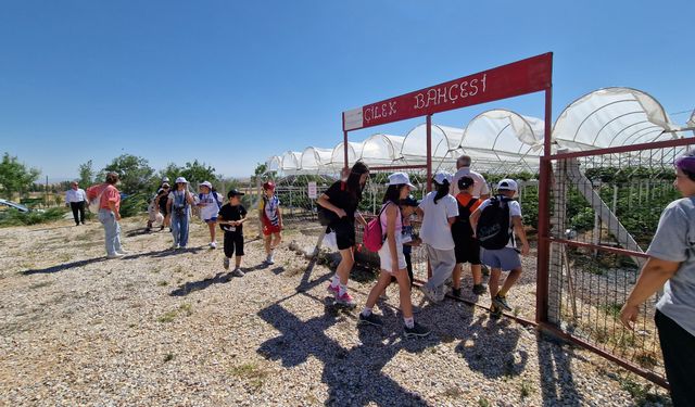 Eskişehir’de örnek yaz okulu: 30 farklı branşta etkinlik!