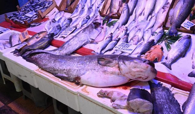 Eskişehir'de 40 kiloluk canavarı gören bir daha bakıyor!