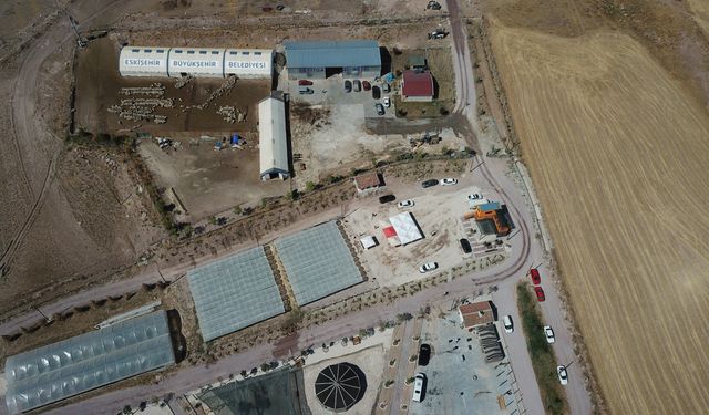 Eskişehir'deki yaz okulu fırsatını kaçırmayın: Son gün cuma!
