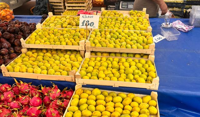 Eskişehir'de tezgahlar cep yakıyor, taneyle alma dönemi!