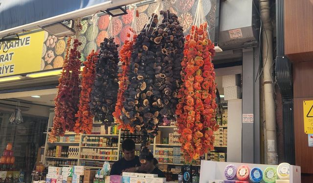 Eskişehir’de kış hazırlıkları başladı