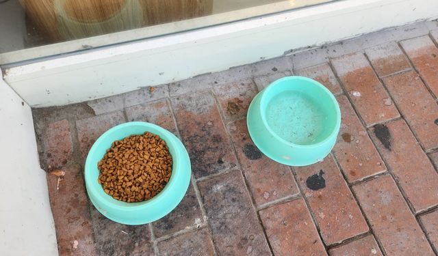 Eskişehir'den örnek hareket: 1 kap su ve mama