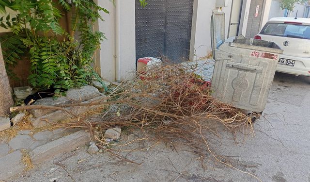 Eskişehir'deki mahalleliyi rahatsız eden görüntü!