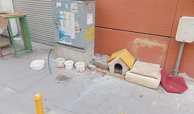 Eskişehir'de can dostlar için örnek davranış!