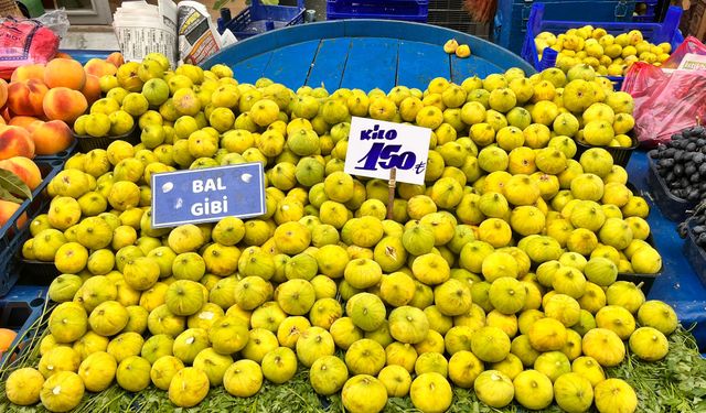 Eskişehir tezgahlarında incirin kilosu cep yaktı!