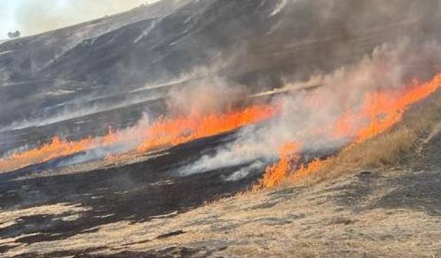 Eskişehir Tepebaşı'nda çıkan yangın panik yarattı