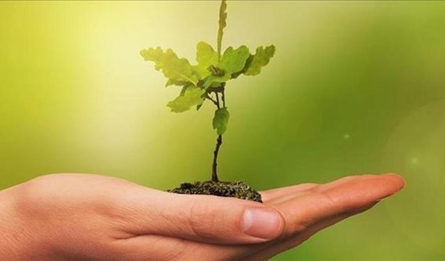 Meclis’te sıfır atık başarısı: 1151 ağaç kesilmekten kurtuldu!