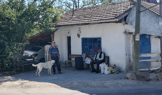 Eskişehir'de 60 yıldır köyün vazgeçilmezi: Kapılarını kapatamıyor!