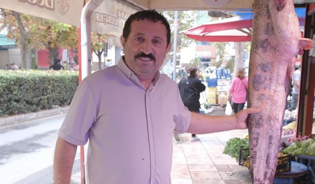Eskişehir'de tezgahlar doldu,fiyatlar yüzde 30 düştü!