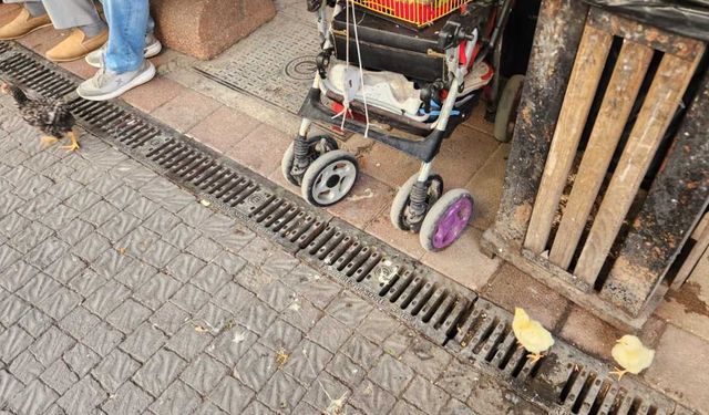 Eskişehir'in işlek noktasında şaşırtan ve neşelendiren anlar