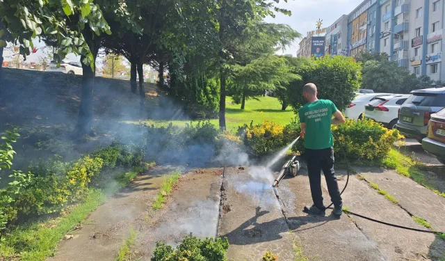 Kocaeli'nde 432 bin noktada vektör mücadelesi