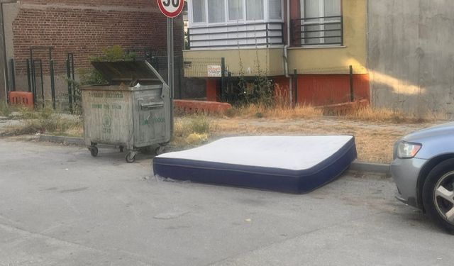 Eskişehir'de çöp konteyneri yanındaki manzara değişmiyor!
