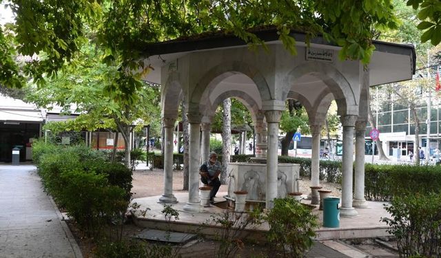 Eskişehir'de dikkat çeken ilan: Bu kez dişin sahibi aranıyor!