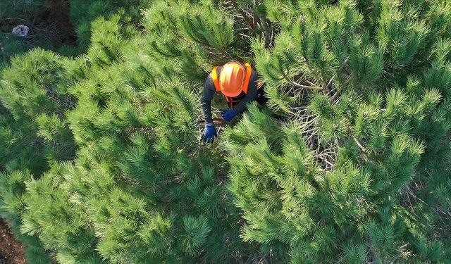 İş arayanlar dikkat: Bakanlık 262 daimi personel alacak!